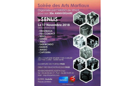 Soirée des Arts Martiaux